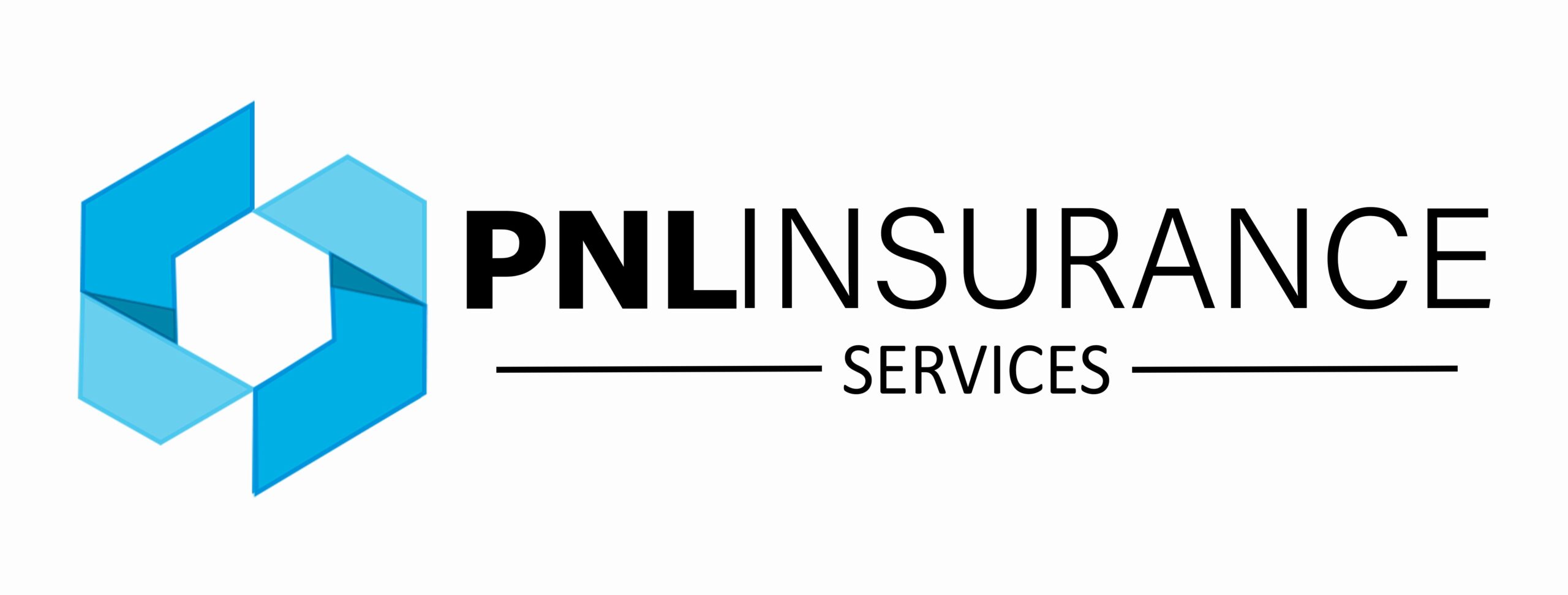 PNL INSURANCE SERVICES